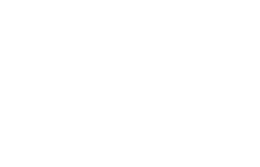 Isotipo blanco de NoaTechSolutions